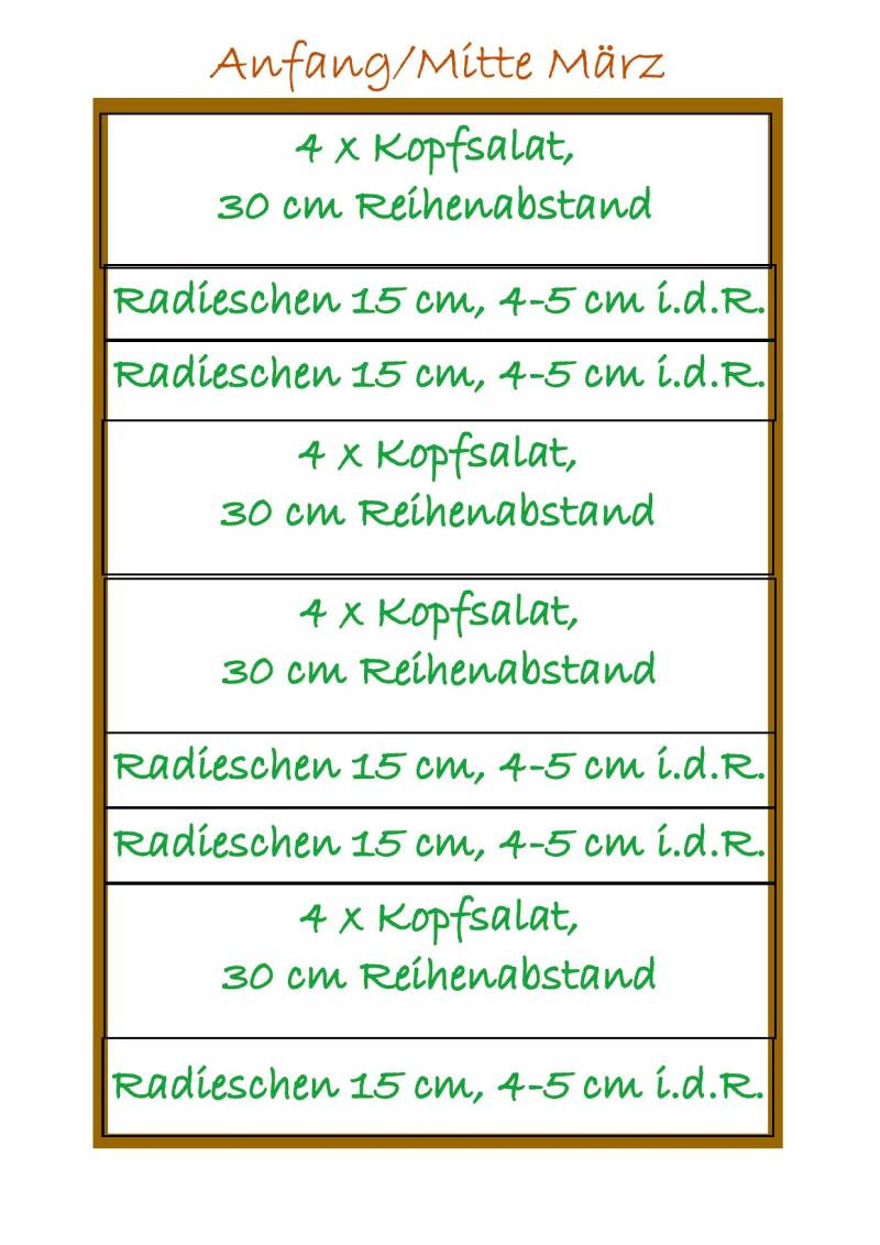 Salat-Radieschen-Vorkultur-Hochbeet Salat und Radieschen Plan für die Hochbeet Vorkultur