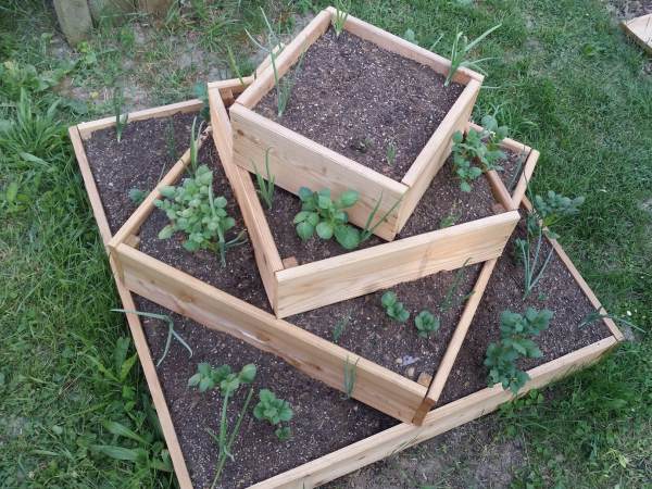 Bepflanztes Erdäpfelhochbeet