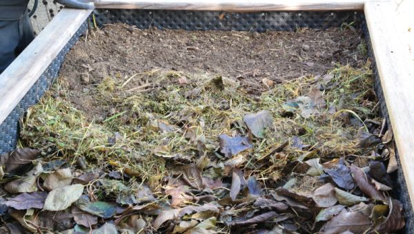 Hochbeet Befüllung Befüllung Hochbeet