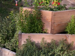 Kräuter-Pyramide 80 x 80 cm, 60 cm Höhe Kräuterpyramide aus Lärchenholz