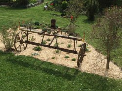 NaturMulch Endl, Miscanthus, 100 l Naturmulch