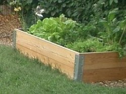 Niederbeet 100 x 200 cm, 34 cm Höhe niederbeet9