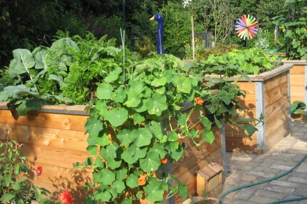 Hochbeet im Garten