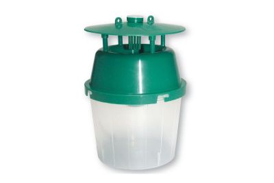 Falle zum Anlocken des Buchsbaumzünsler-Falters Bild