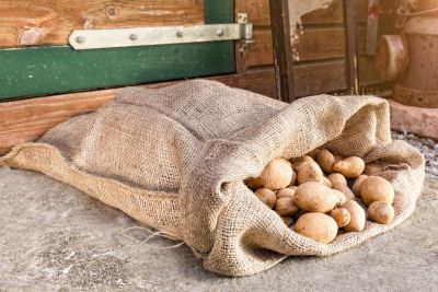 Jutesack mit Kartoffeln