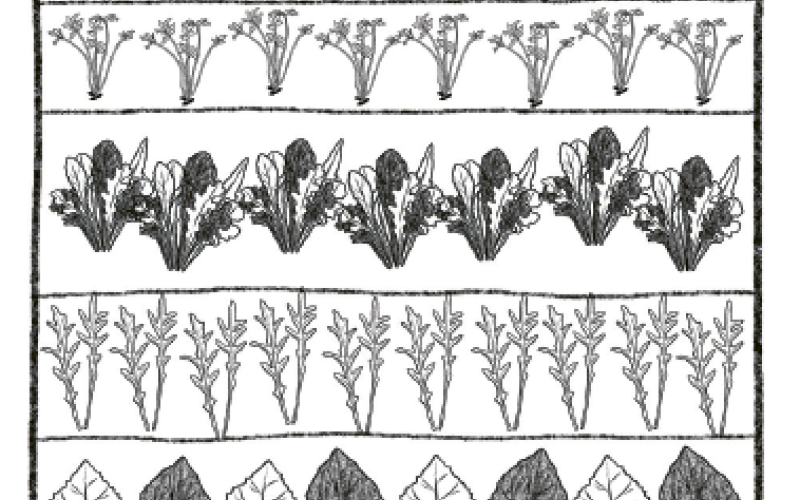Sofort-Losernten-Hocheet