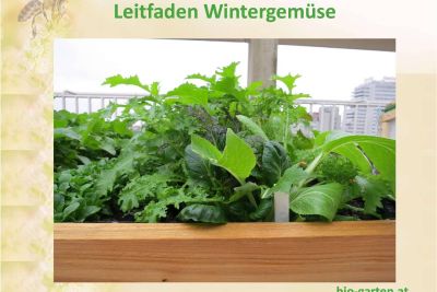 Booklet Cover von Leitfaden Wintergemüse mit Hchbeet und angebautem Wintergemüse