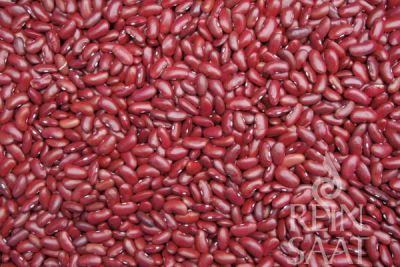 viele rote Kidneybohnen