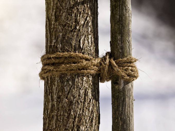 Kokos-Baumanbinder, 15 m