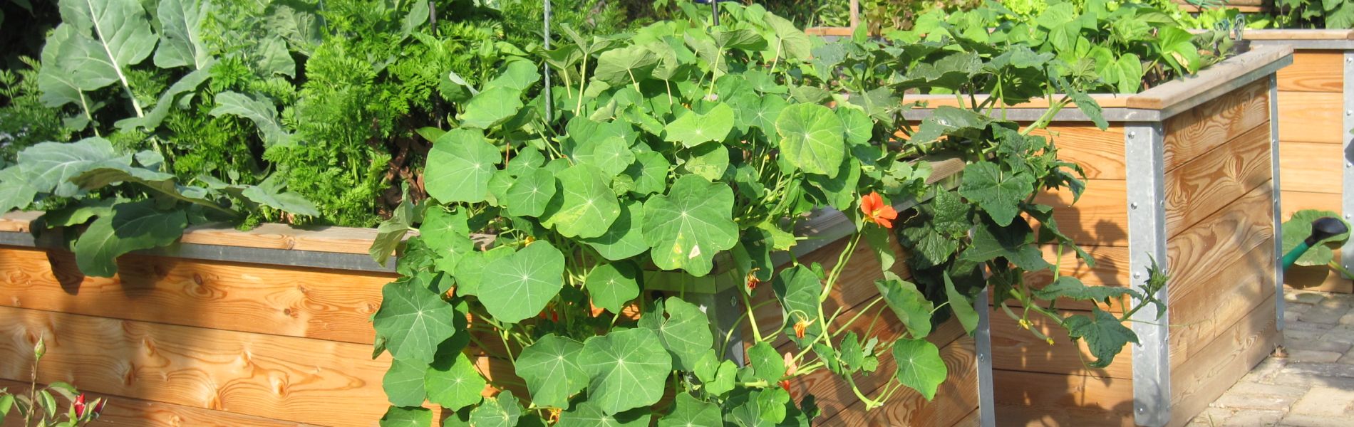 Hochbeete von bio-garten