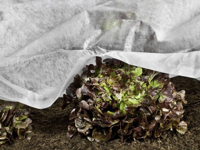 ÖKO Wachstumsvlies, 1,5 x 5 m