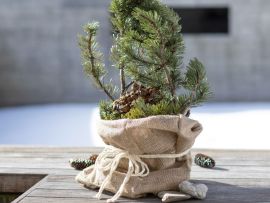 Jute Sack mit Baum Frostschutz