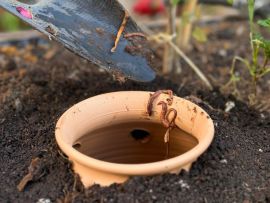 Wurmkomposter in der Erde mit Kompostwürmern