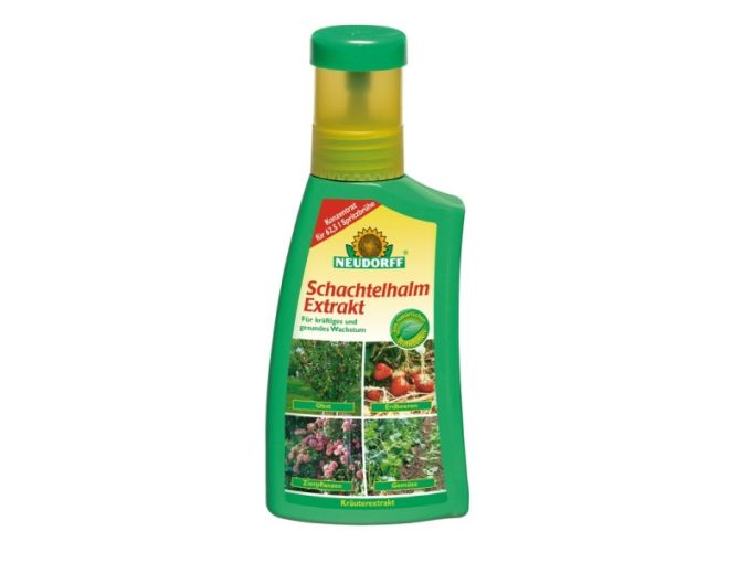 Schachtelhalm Extrakt, 250 ml