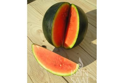 Wassermelone 'Sugar Baby'; ReinSaat©