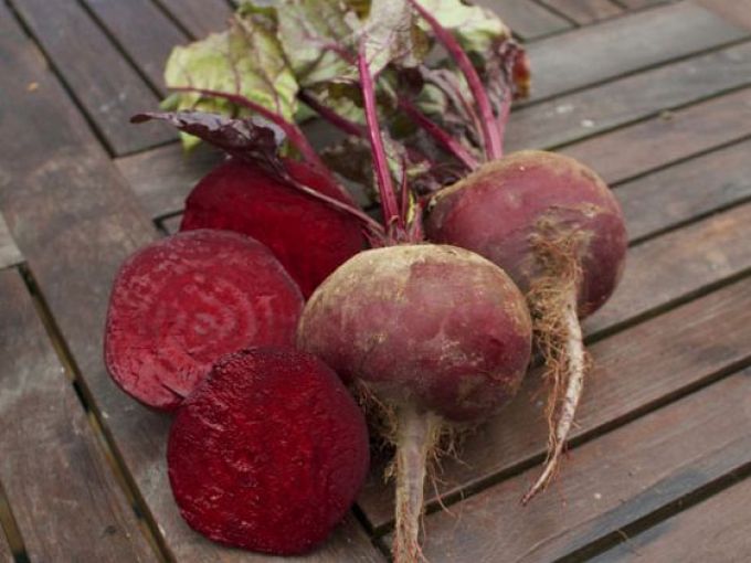 Rote Rübe 'Rote Kugel 2'