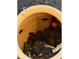 Wurmkomposter, befüllt mit Gemüseresten