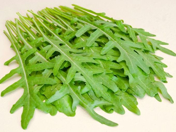 Wilde Rauke (Rucola selvatica)