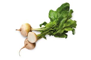 Rote Rübe 'Schneewittchen'