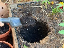 Ein ausgehobenes Loch in der Erde im Hochbeet