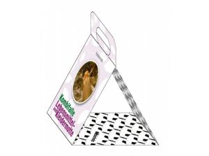 Kombifalle Lebensmittel- und Kleidermotte