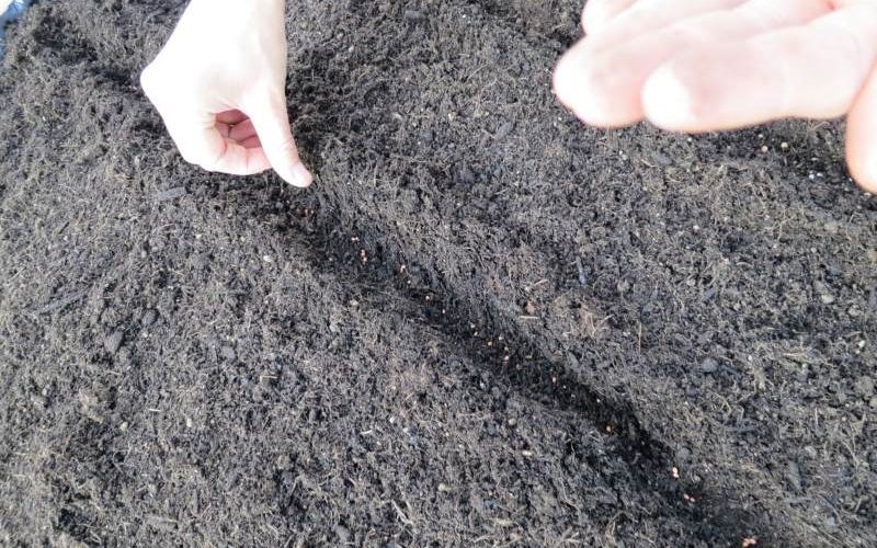 Terrassenbeet Säung