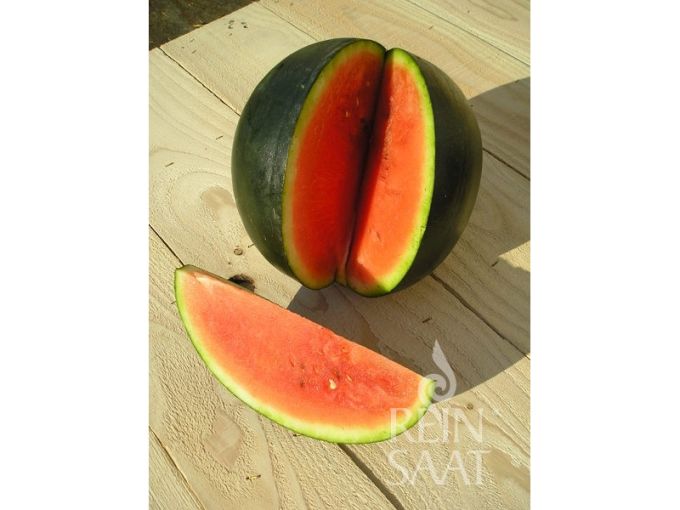 Wassermelone 'Sugar Baby'