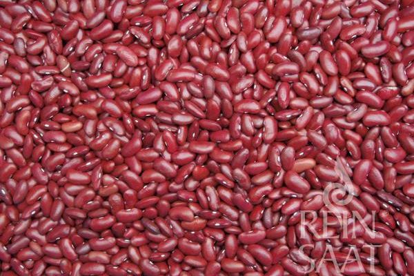 viele rote Kidneybohnen