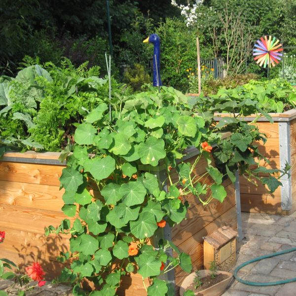 Hochbeete von bio-garten